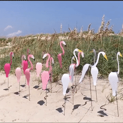 Flamenco rosa para decoración del hogar y jardín, pájaro mágico giratorio dinámico único