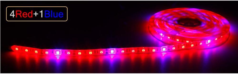 Pasteable Phyto Led Light strip Hydroponic Growth Light Led Grow Full Spectrum12V Red Bule Lamp Plant Flower Seedling Fitolamp: 4 red and 1 bule / 2M 120leds / Waterproof IP65