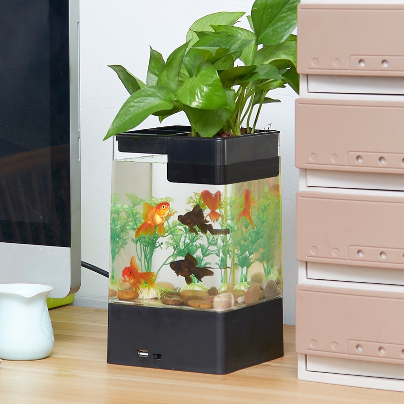 Aquarium van kunststof met planten, accessoires voor op het bureau, decoratie voor het aquarium