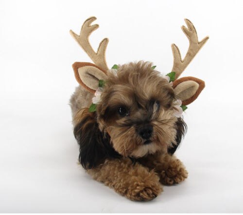 Diademas de Navidad para mascotas, asta de ciervo, banda Floral para la cabeza, accesorios de aseo para perros, gatos y cachorros