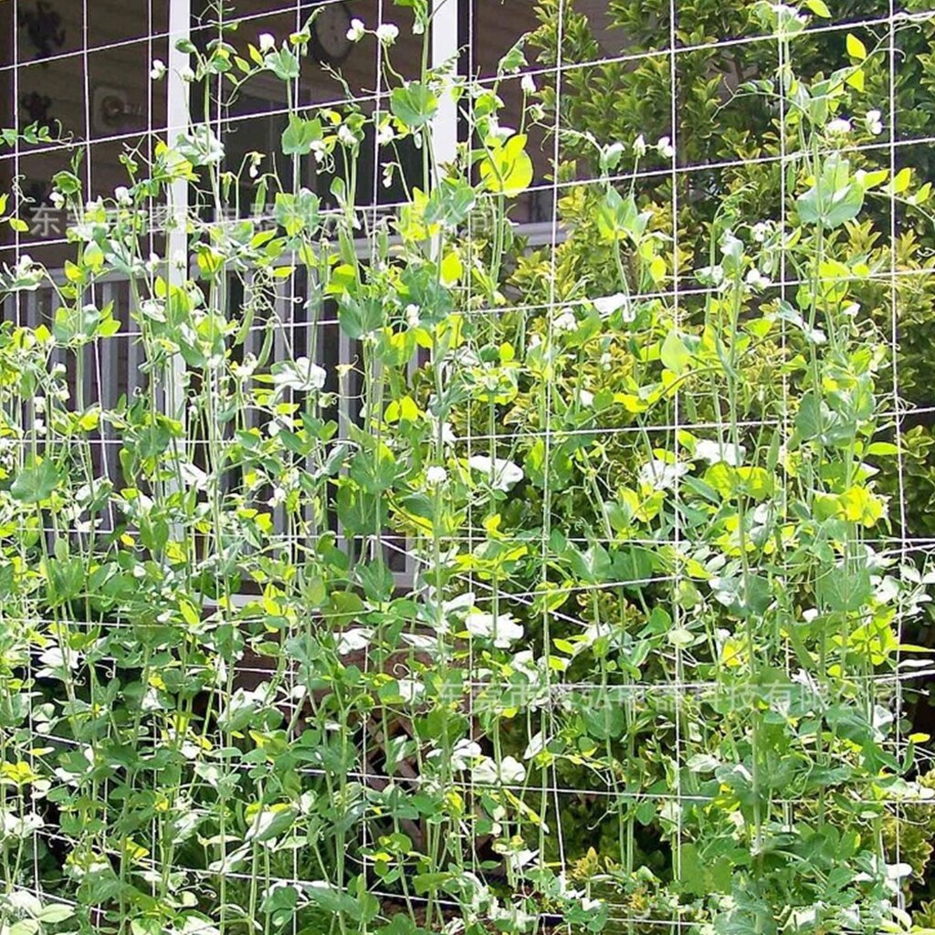 Trädgård spaljé nät växt stöd vinranka klättring hydroponics växa netto