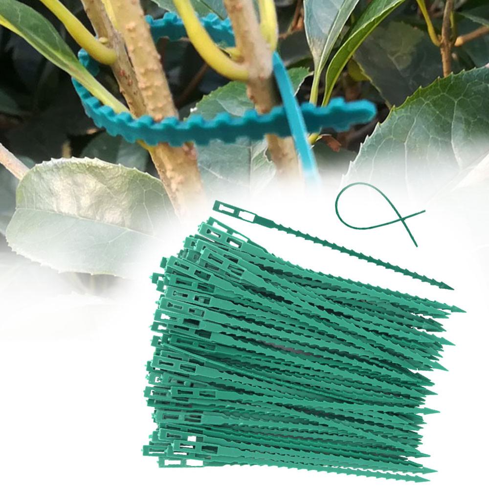 50/30 pièces arête de poisson éperon vert paysage réutilisable jardin plastique plante ceinture cravates cravate jardin arête de poisson bande outils