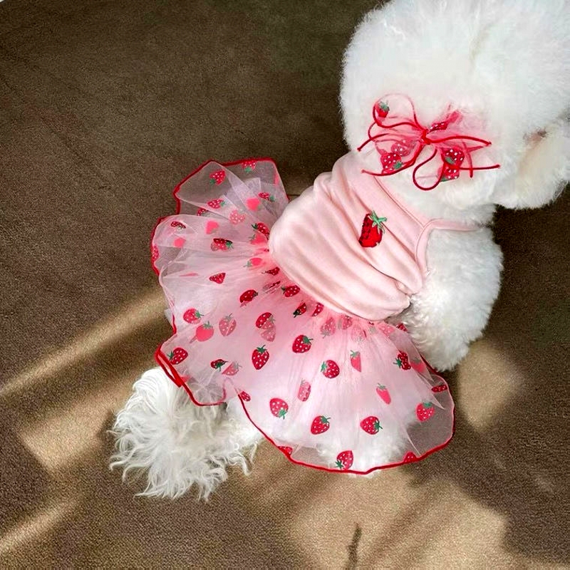 Vestido de verano para perros, ropa para cachorros, falda de princesa Margarita bonita, disfraz refrescante para perros Chihuahua Bichon, ropa para mascotas, vestidos para perros y gatos