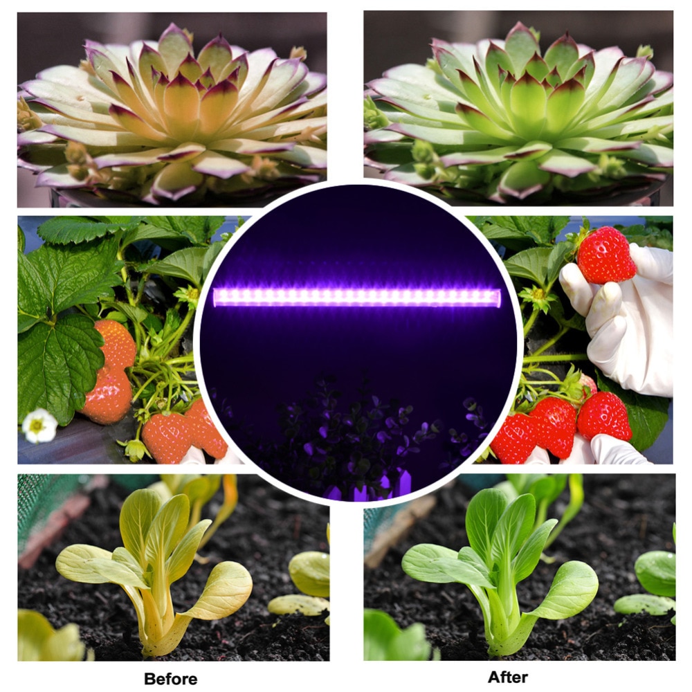 LED Grow Light Bar Indoor Hydroponics Plants Flower Grow Lamps Straps for Indoor Greenhouse Grow Tent Plants Light Adapter