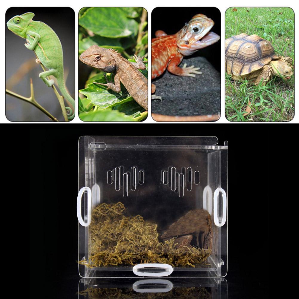 Pet Reptile Transparent Feeding Box Amphibian Feeding Box Snake Breeding Box Spider Lizard Scorpion Centipede Stitching Box