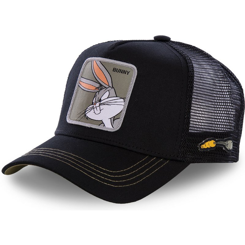 DAFFY COYOTE-gorra de béisbol con de conejo para hombre y mujer, gorro de béisbol con estampado de dibujos animados, Snapback TAZ ROAD, triangulación de envíos: BUNNY