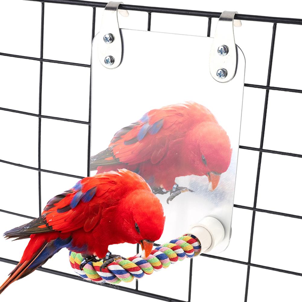 Espejo divertido para mascotas y loros, juguete para cacatúa, pájaros pequeños, soporte de escalada para morder