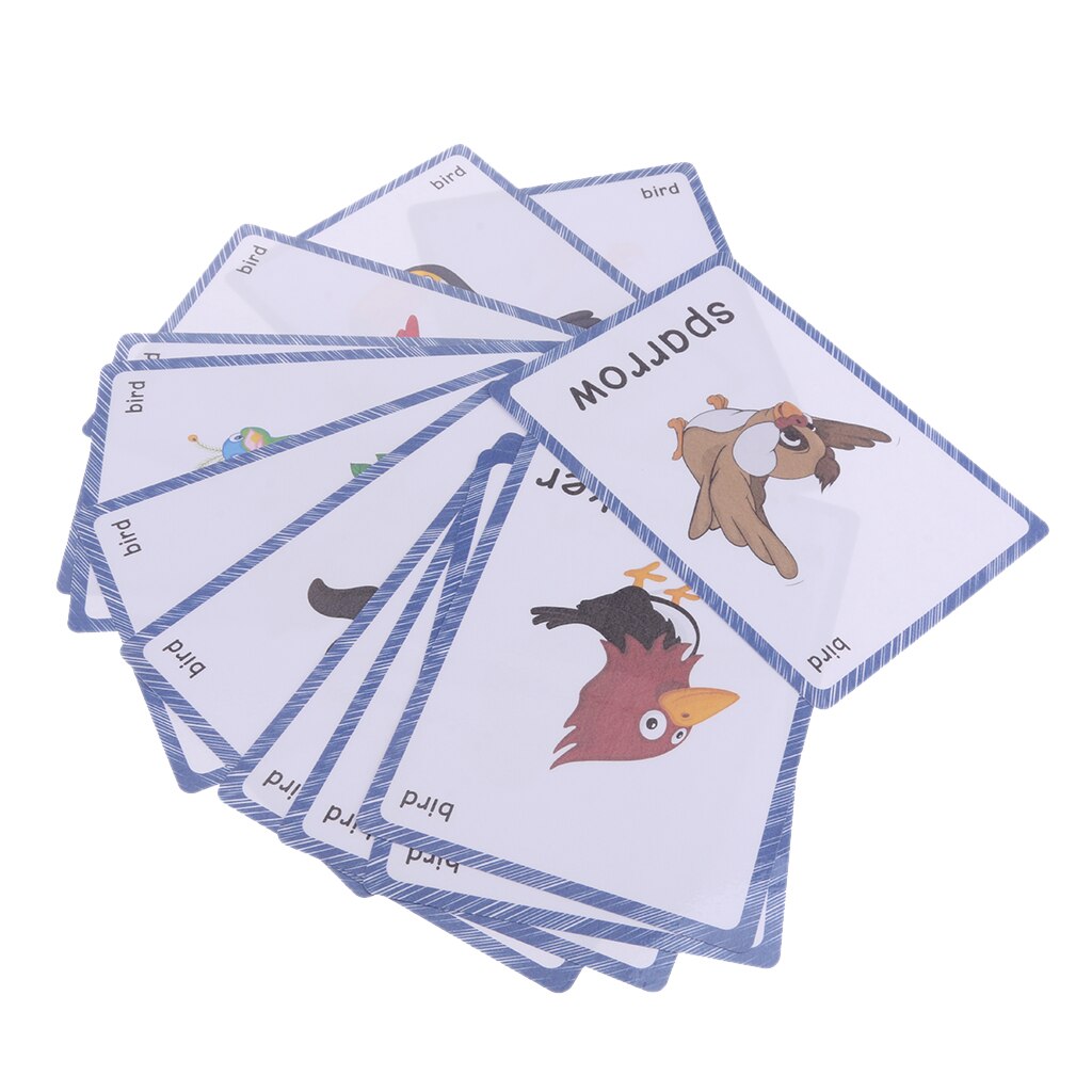 Flashcards With Ring Storing Adorable Illustrations Sight Word Flash Cards