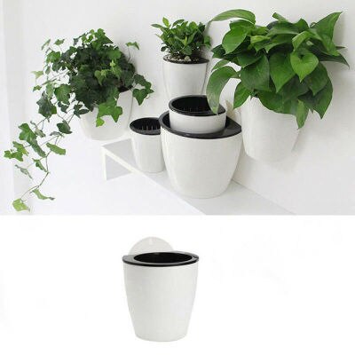 Selvvannende plante blomsterpotte vegghengende plast planter hus hage dekorasjon: M