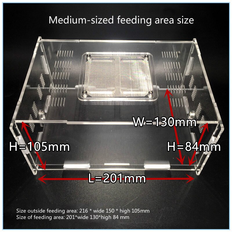 Acrylic feeding area small pet feeding box all kinds of ant nest expansion special medium feeding area box ants farm house