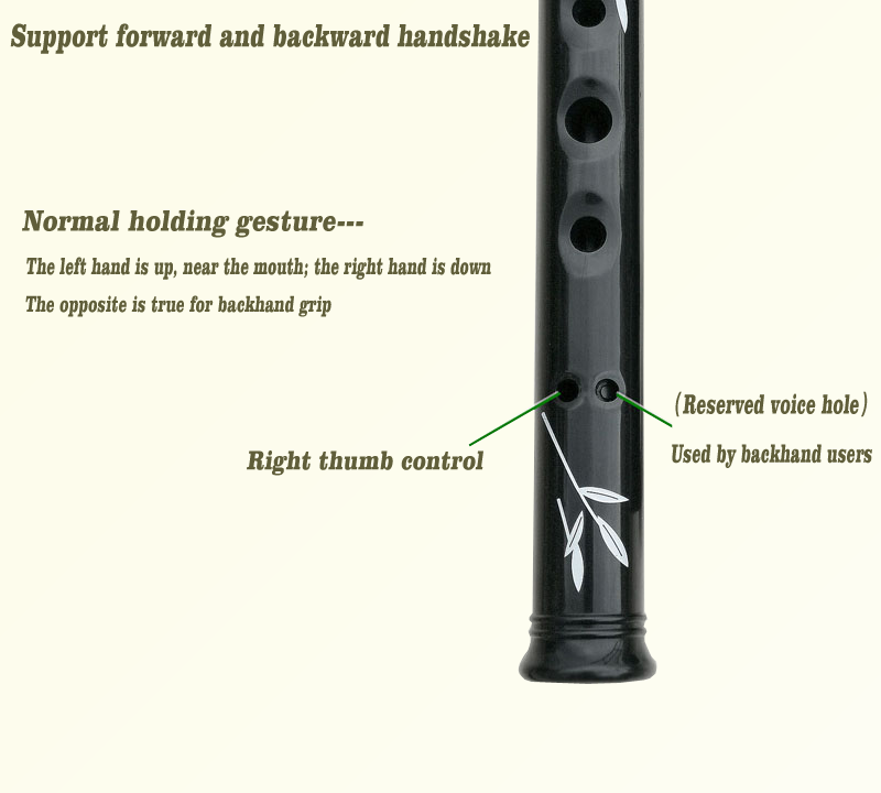 Tin whistle Recorder Instrument for Kids Adults Beginners Soprano Recorder C or D Key