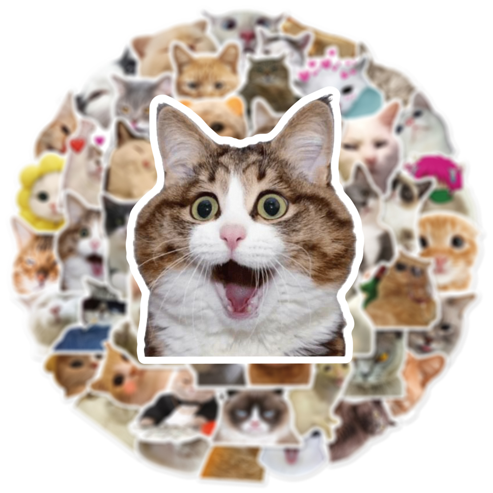 10/30/50 PIÈCES À La Mignon Dessin Animé Réaliste Chat Graffiti Tasse Décoration Intérieure BRICOLAGE Étanche PVC Autocollant PersonaliToys