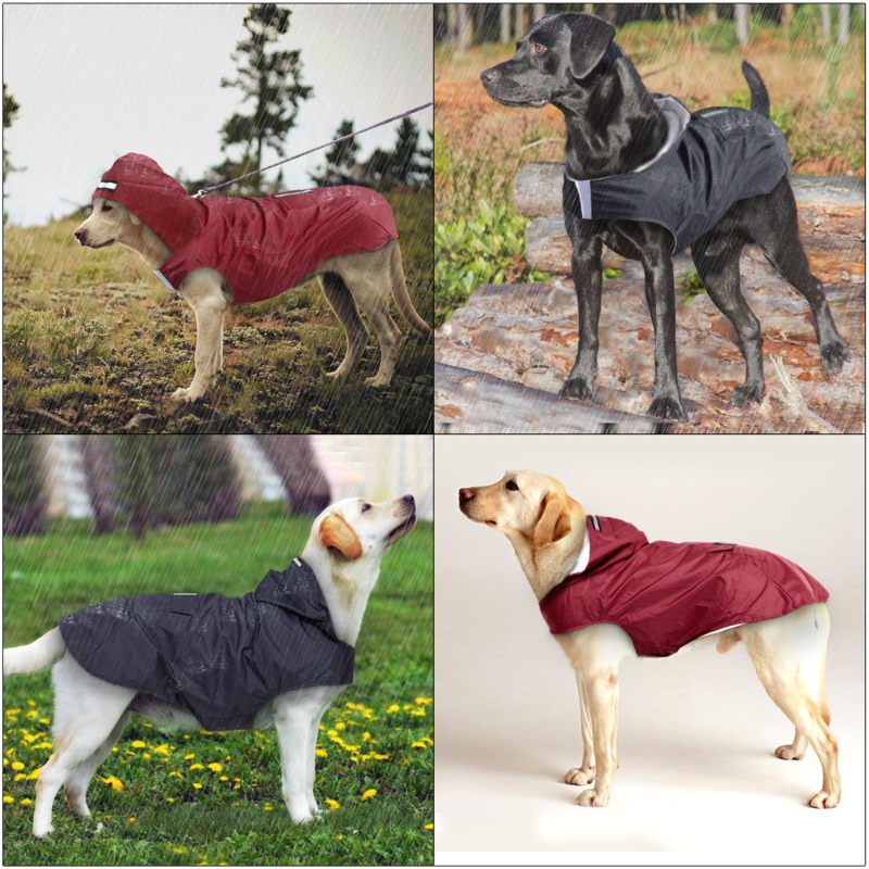 Capa de chuva para cães, jaqueta à prova d'água com capuz, poncho de chuva para animais de estimação, roupas com listra reflexiva, acessórios para capa de chuva para cães ao ar livre