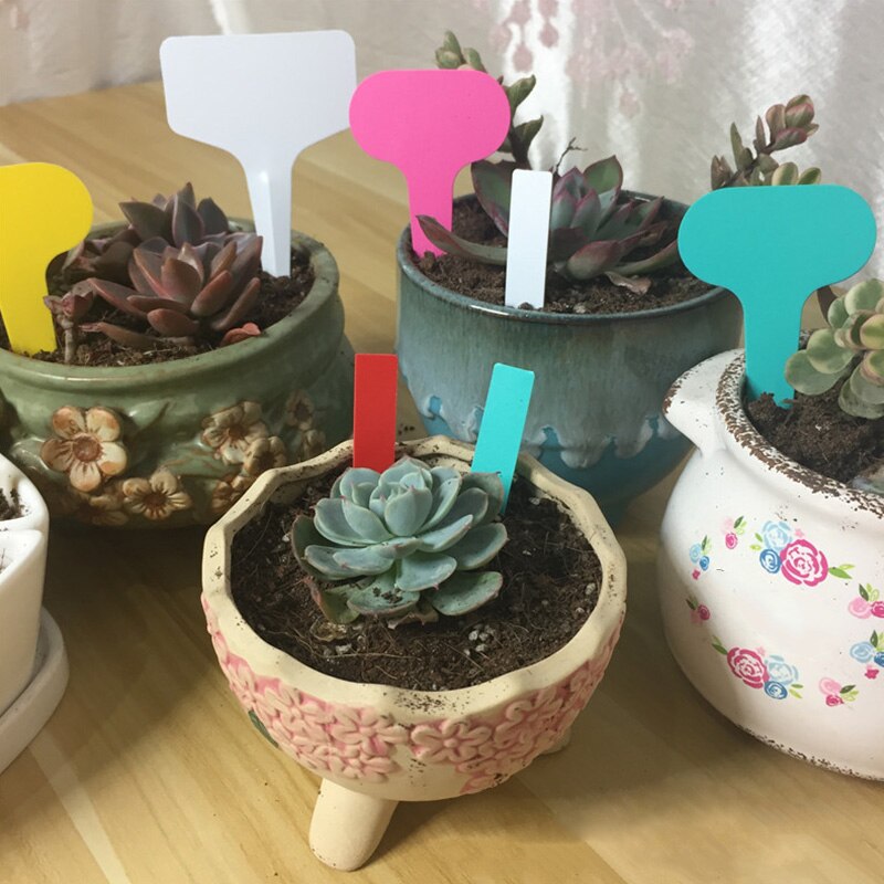50 stk plast potteplanter etiketter merke t-type plante stikkord gjenbrukbare blomster barnehage etiketter merkelapper hagearbeid tegn hageartikler