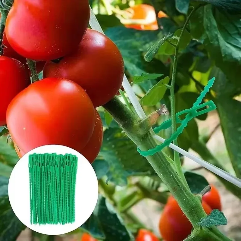 Adjustable Plastic Plant Cable Ties Reusable Garden Self-locking Zip Cables Ties Vine Tree Shrubs Support Fastener Organizer