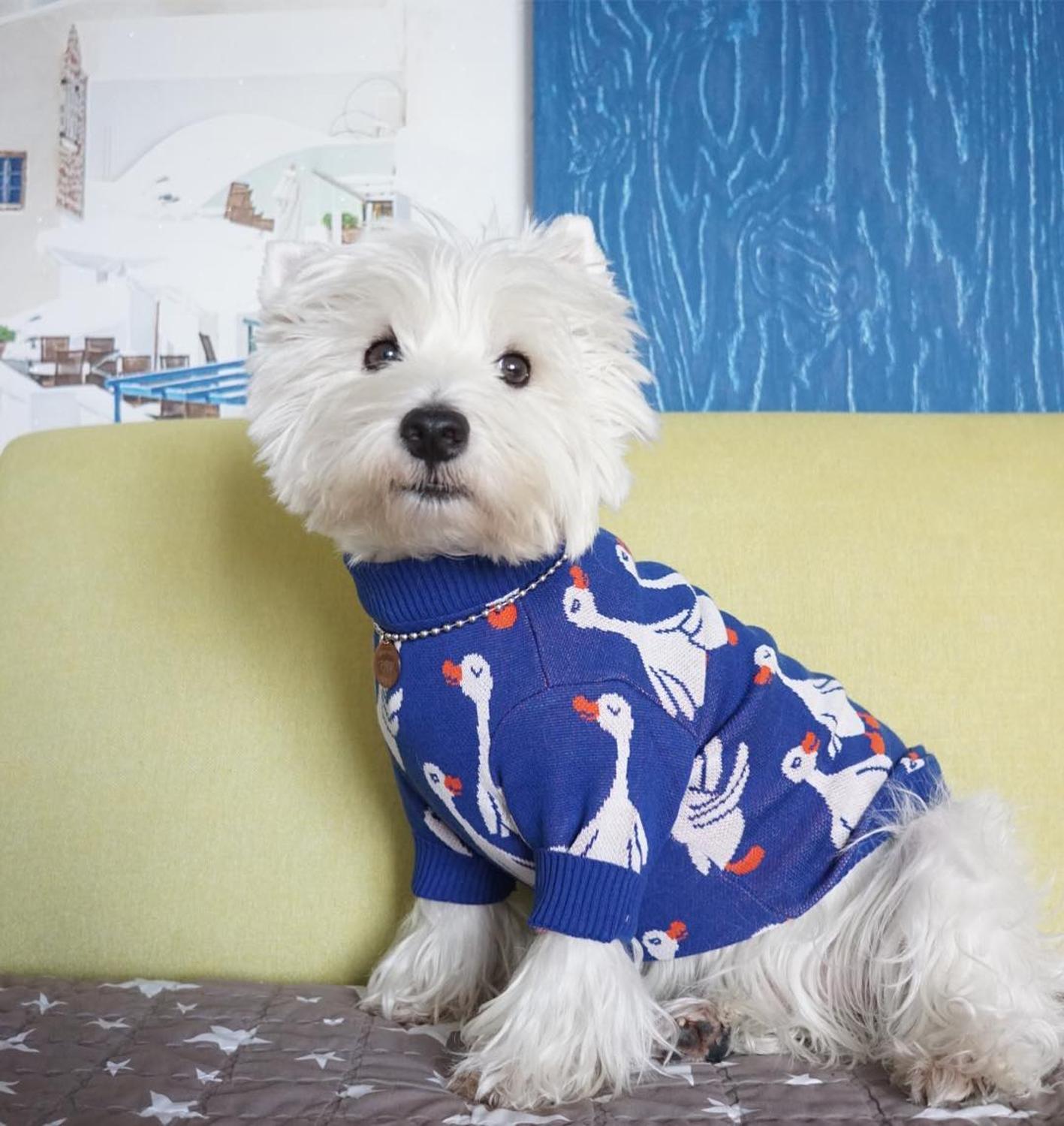Camisola do cão clássico animal de estimação roupa casual traje moda camisola jaqueta de malha para schnauzer bulldog roupas de cachorro: I / XL