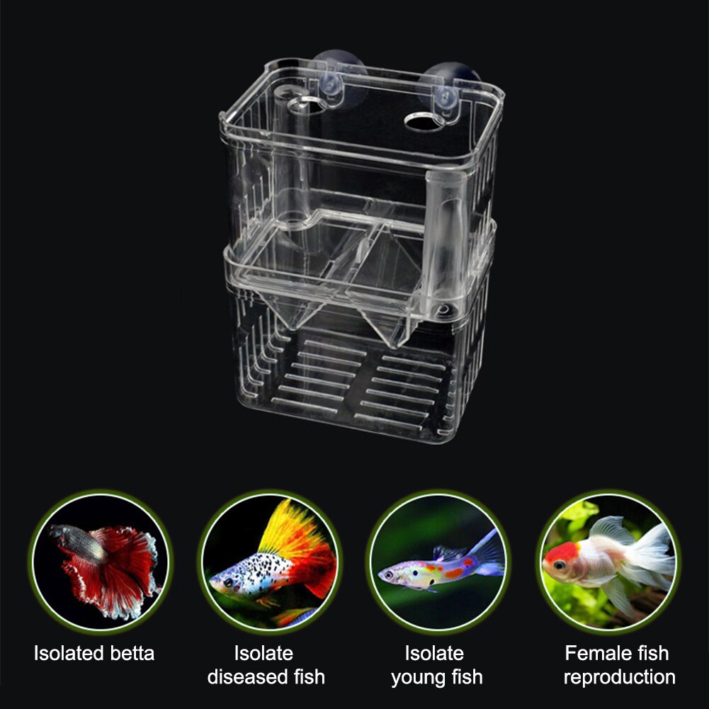 Incubateur ABS avec ventouses, fournitures pour animaux de compagnie, Aquarium, Mini maison, poisson clown, crevettes, Cage, boîte d&#39;élevage de poissons
