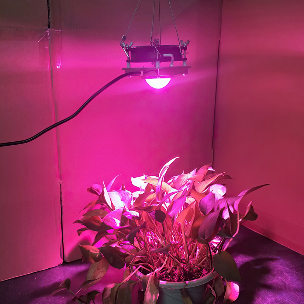Full Spectrum Hydroponic COB Growth Light High Luminous Efficiency LED Grow Light For Greenhouse Vegetables Succulent