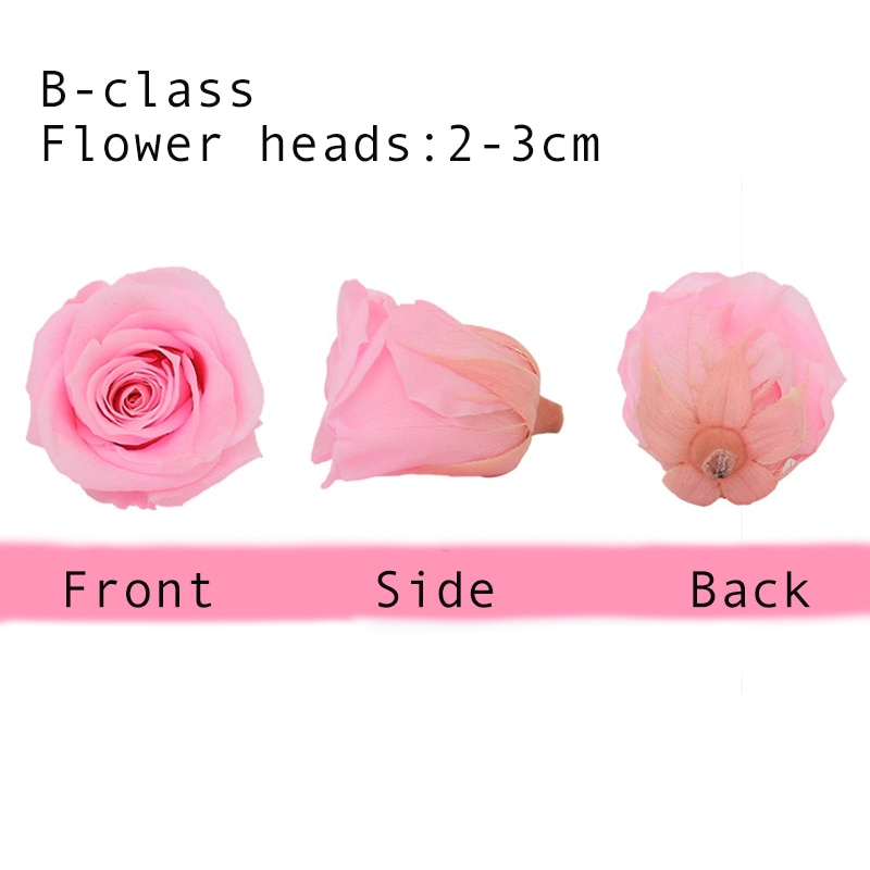 24pcs/box Preserved Flowers Eternal Life Flower Rose in box Immortal Flowers mothers day Material Box DIY Level B 2-3