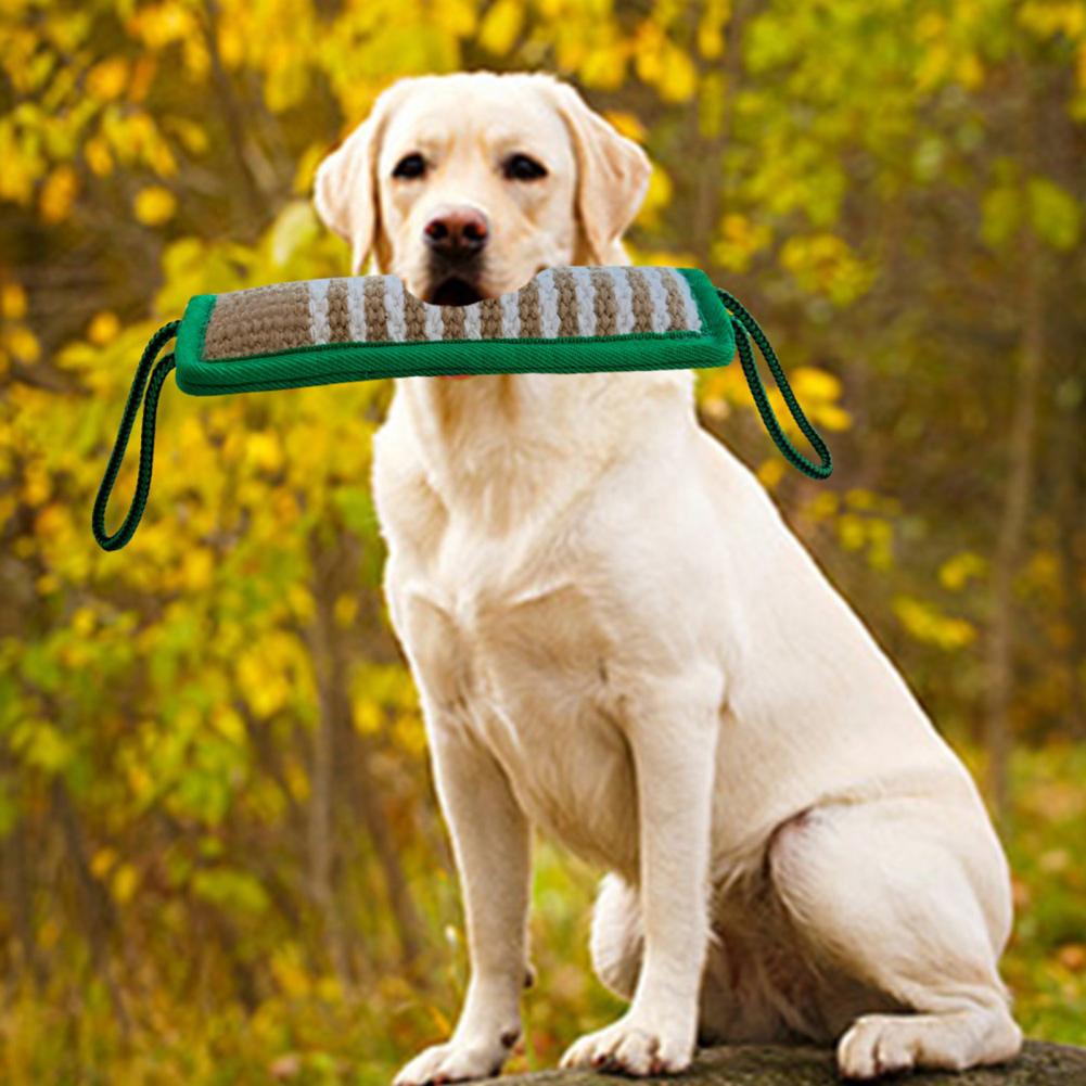 Jouet mordant pour chien, bâton robuste, motif rayé, soins dentaires, entraînement, oreiller