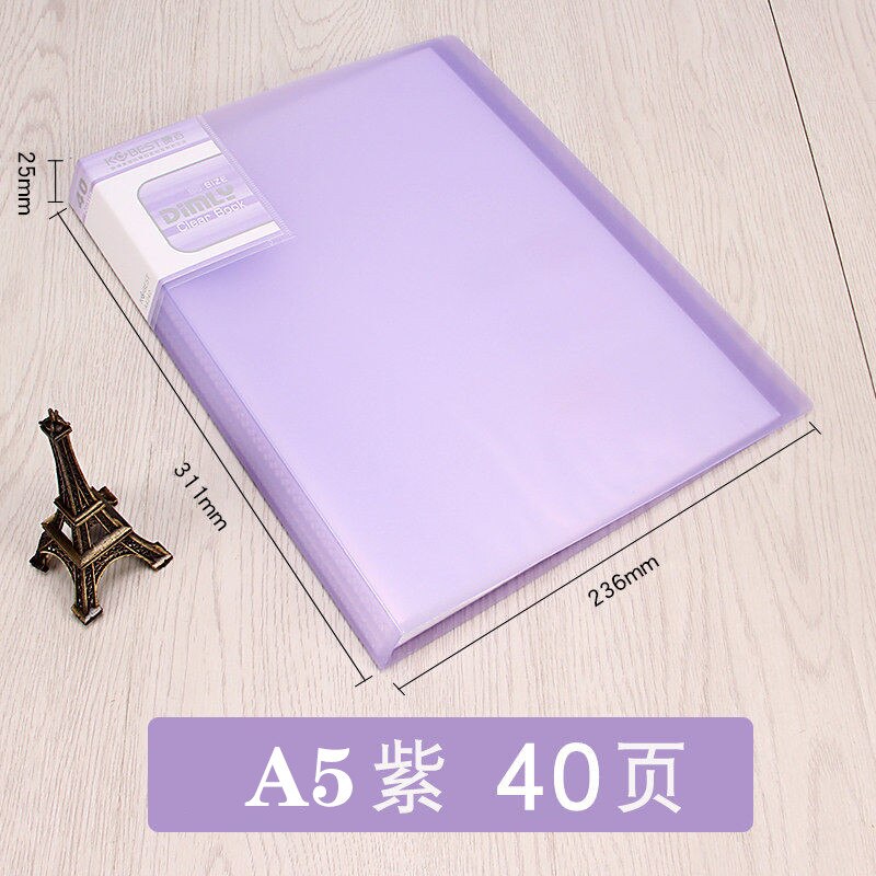 A5 Display Book 40/60 Pages Transparent Insert Folder Document Storage Bag for Bank Campus File Office Workplace Family: 40 pages purple