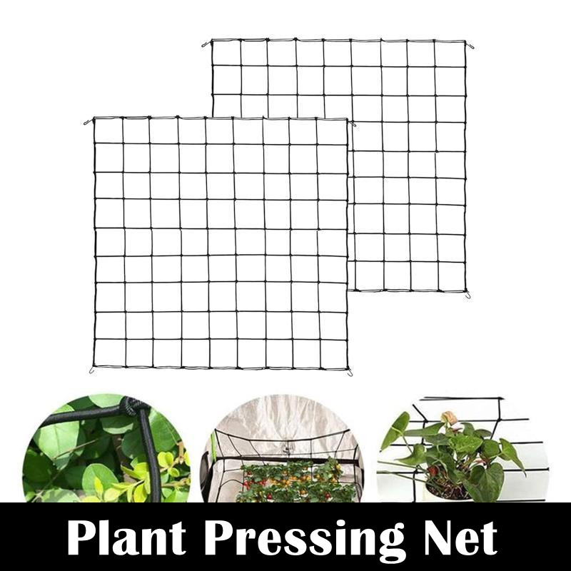 Plant Tent Druk Tak Netto Uniform Licht Elastische Netto Plant Tent Ondersteunende Apparatuur Tak Netto Licht Netto