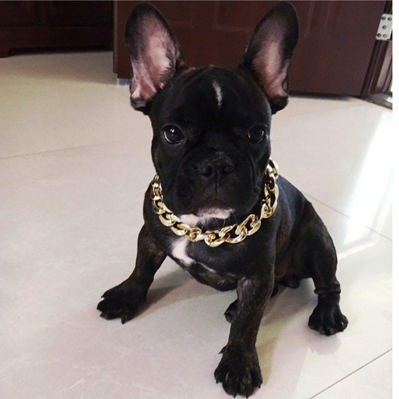 chien chaîne collier accessoires pour animaux de compagnie Teddy Bulldogs Bully sécurité colliers chaîne chien bijoux collier fournitures pour animaux de compagnie