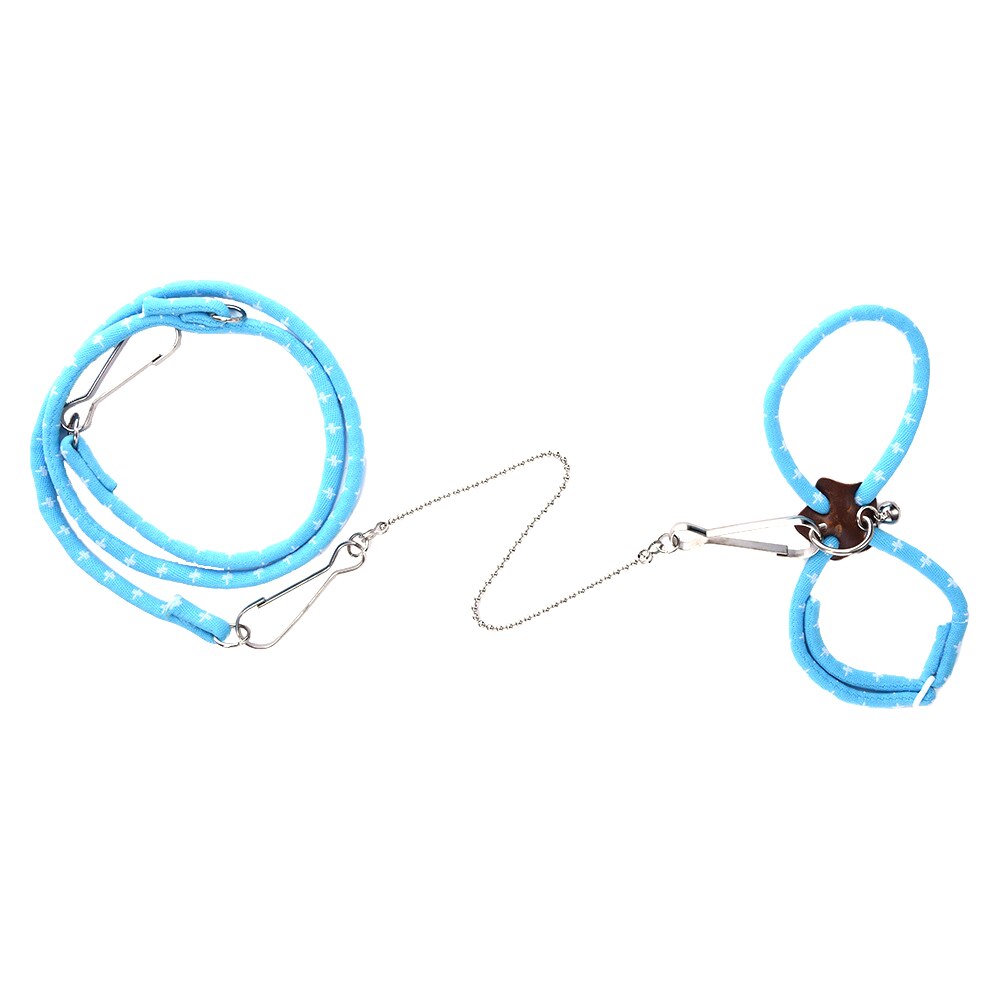 Szelki chomika liny piękne regulowane zwierzęta szczur mysz chomika szelki liny fretka znalazca smycz z dzwonkiem dla zwierzaka: niebieski