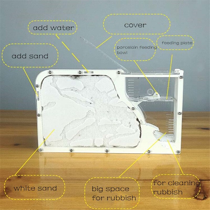 Ferme à fourmis de sable naturelle, grand nid , château d&#39;insecte, atelier pour animaux de compagnie, fourmilière avec zone d&#39;alimentation,