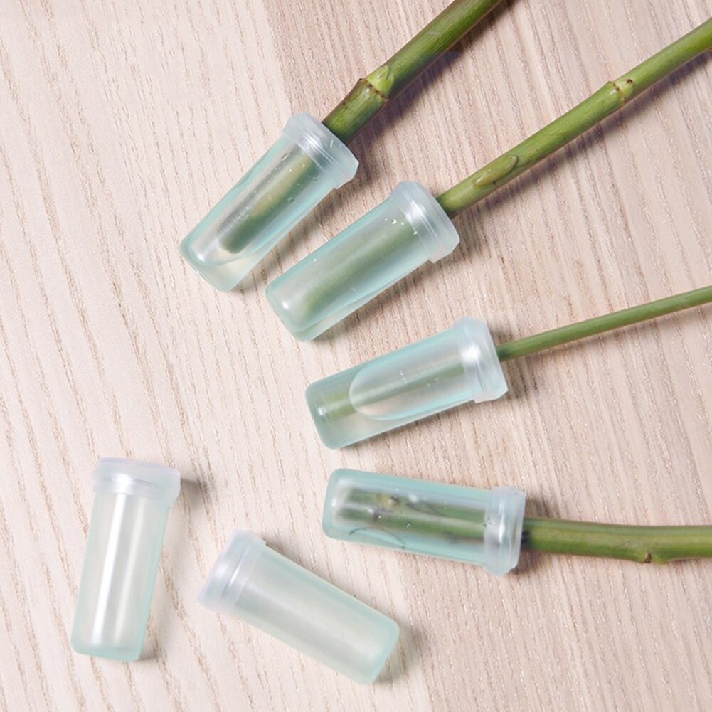 10 Pcs 7cm Rose Flower Tubes Floral Water Tube Vials Plastic Tubes with Caps Garden Tools