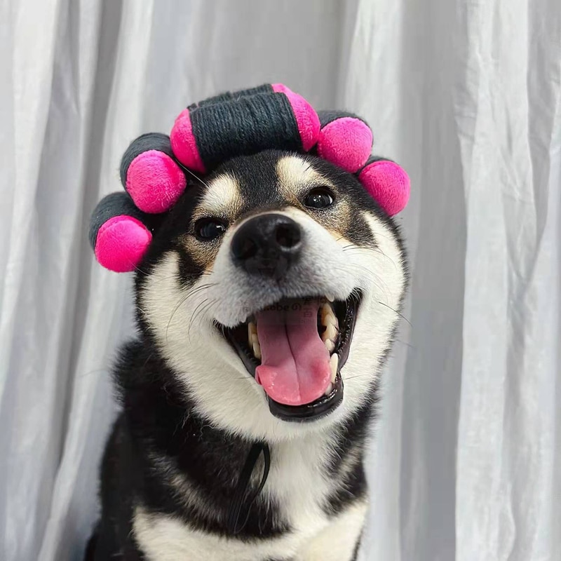 Peluca de gato con rulos para el pelo, Pelo Rizado Adorable, tocado, también adecuado para perros pequeños