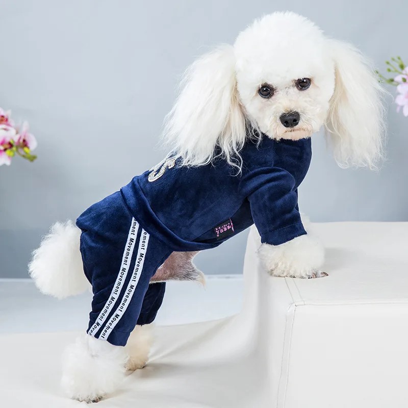 Dog Clothes for Small Dogs Cat Warm Winter Pet Clothing Soft Velvet Overalls Puppy Girl Hoodies Jumpsuit Sweatshirt Chihuahua: XL / Navy Blue