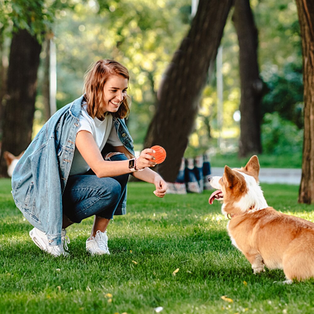 Pet Dog Toys Dog Ball Dog Bouncy Rubber Solid Ball Resistance To Dog Chew Toys Outdoor Throwing and Recovery Training for Dogs