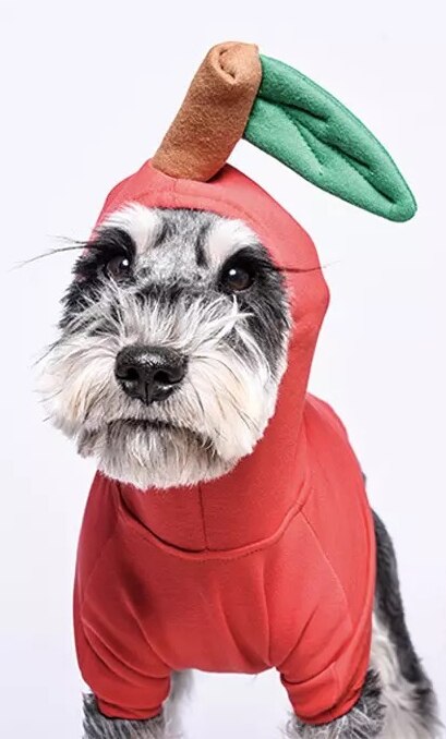 Funny Fruit Puppy Costume Pet Dog Clothes for Small Dogs Chihuahua Pug Cute Hoodies French Bulldog Apple Pineapple Apparel ZZC02: Red / L