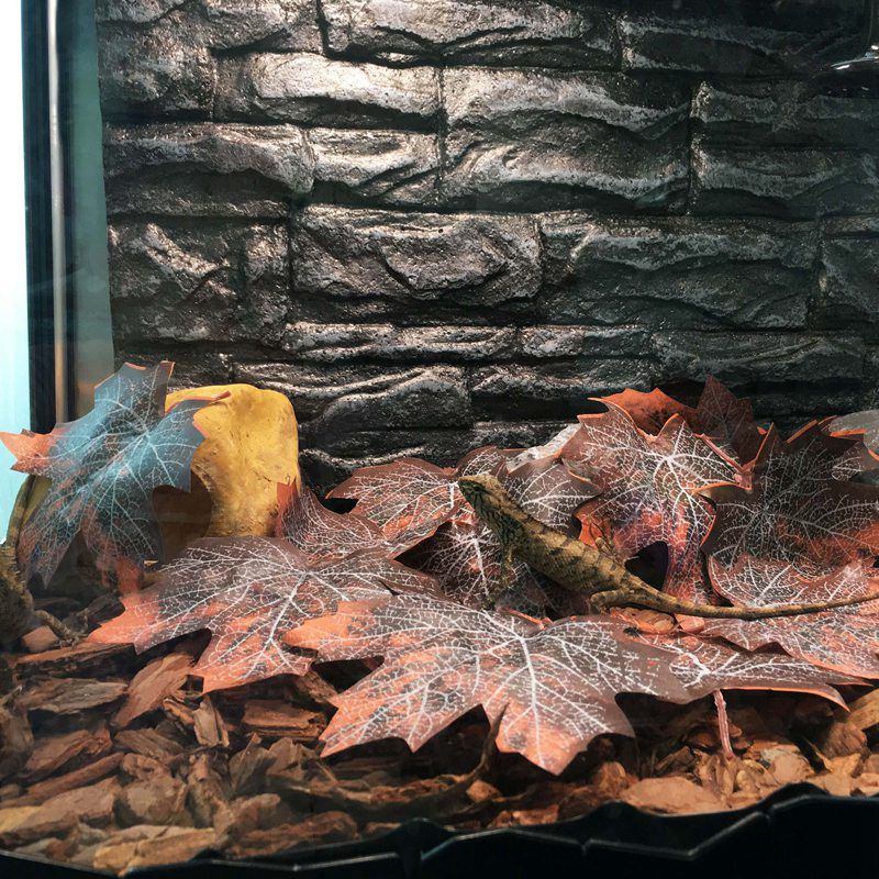 12 stk terrarium krybdyr døde blade krybdyr kæledyr dekoration forsyninger krybdyr terrarium jungle træ blade dekoration tilbehør