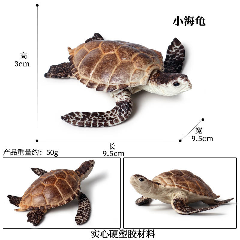 Simulatie Oceaan Dier Zeeschildpad Serie Model Action Figures Collection Miniatuur Cognitie Creativiteit Speelgoed Voor Kinderen: M-364