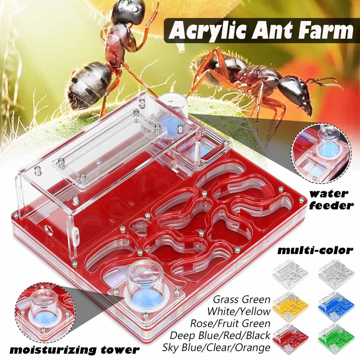 DIY Acryl Platte Ant Farm Grote Mier Nest met Voeden Gebied Water Feeder Mier Huis Huisdier Anthill Workshop Meerdere Kleur