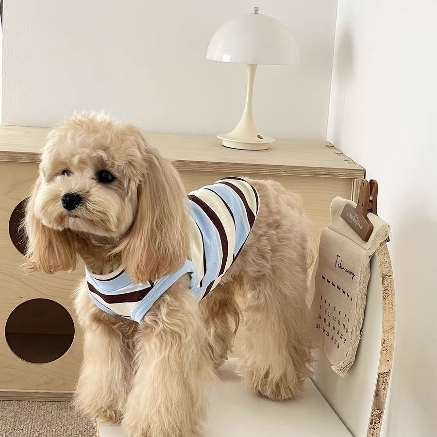 Colete Listrado Respirável para Gatos e Cães Pequenos: Roupa Refrescante para Schnauzer, Teddy e Yorkshire: XS (equipamento de primeiros socorros) / Azul