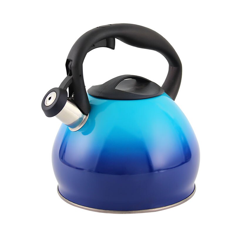 Emerald Green Gradient High Temperature Paint Stainless Steel Kettle 3.0l: Blue