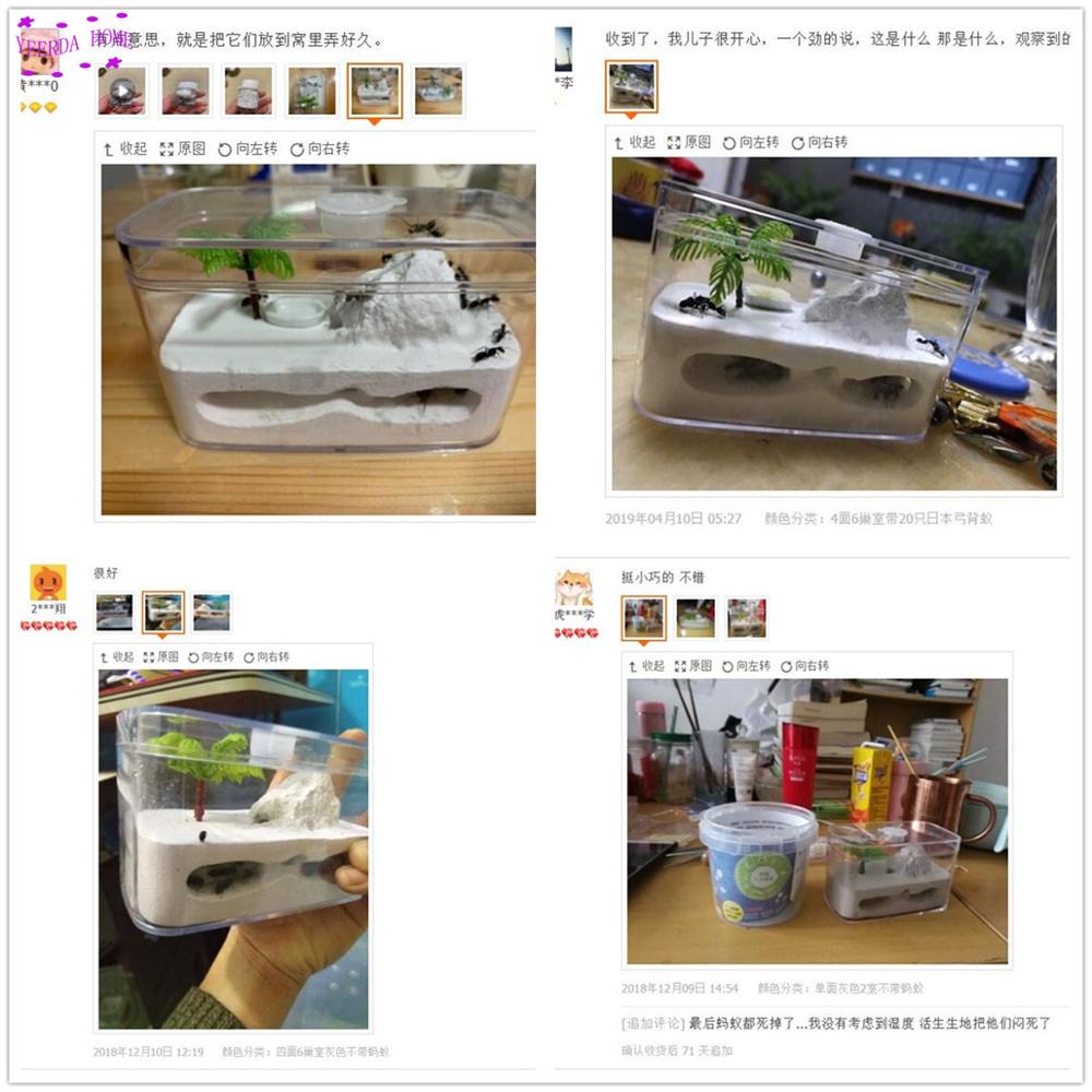 Easy DIY with feeding area ant nest ,ant farm acryl, insect ant nests villa pet mania for house ants