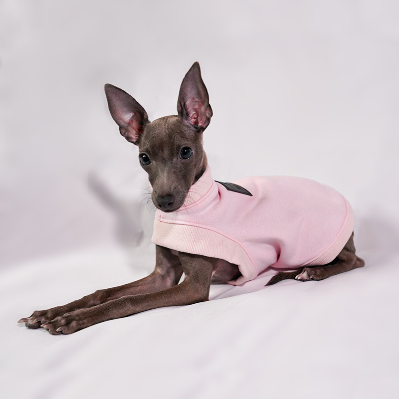 Ropa para perros pequeños, suéter de otoño e invierno cálido para lana de algodón, ropa italiana de Galgo, accesorios para perros, suministros para perros