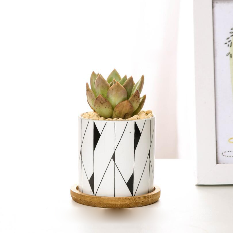 Sales Home Modern Style Desktop Flower Pot Green Plant Holder Ceramic Planter Geometric Printing Plant Pot Office Decoration: Type Five / with base