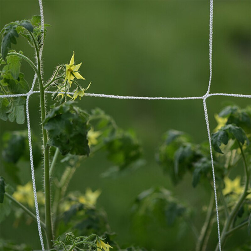 Tuin Prieel Boog Stalen Frame, Buiten Metalen Tuin Boog Trellis Voor Klimplanten Ondersteuning, Vrijstaande Trellis Pergola Voor Wijnstokken, Lichten En Bloemen(300x220x40CM/9.8x7.2x1.3ft