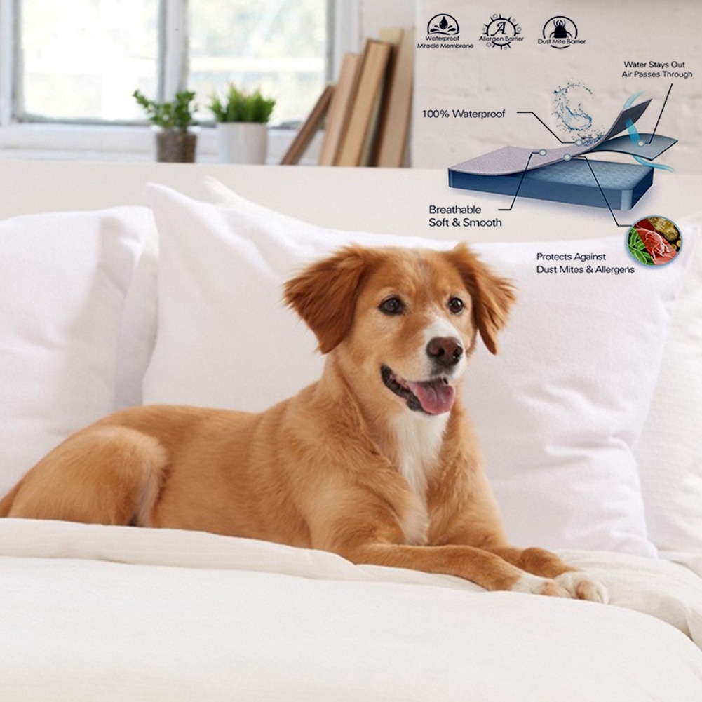 Waterdichte Beddengoed Blad Bed Cover Ademend Matras Cover Hypoallergeen Matras Covers