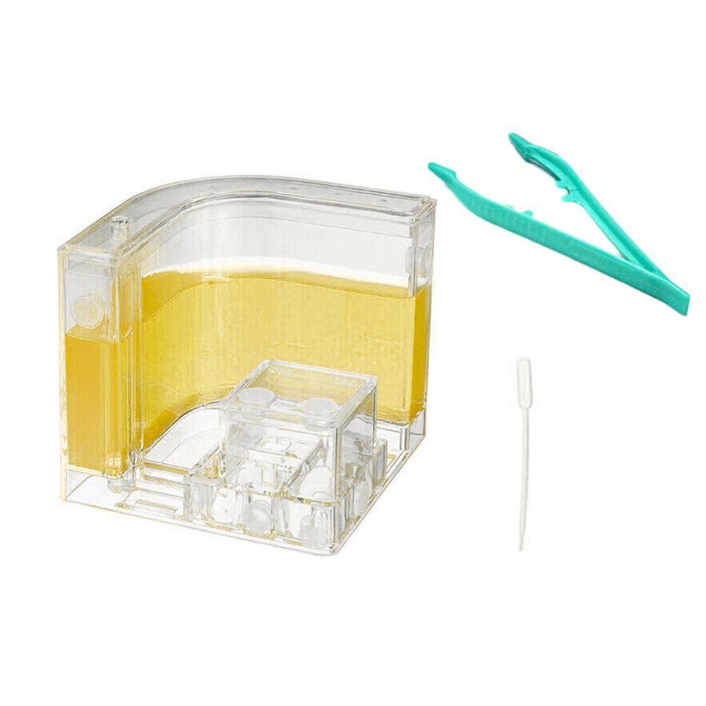 Large Acrylic Ant Farm with Feeding Area Big Ants House Ant Nest Villa Insect Pet Anthill Workshop 6 Layers 19.5*15*22cm: Yellow
