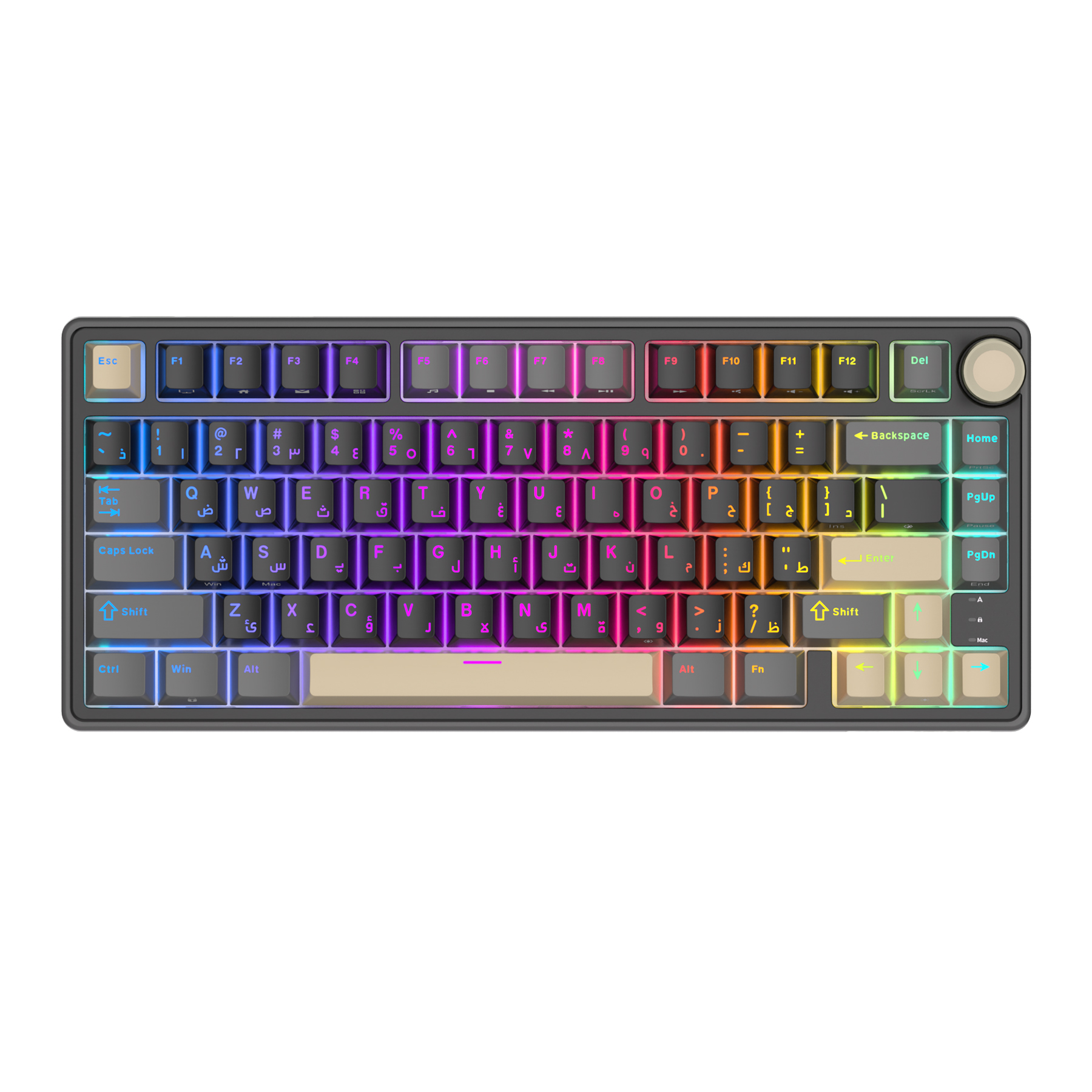 Royal Kludge RK R75 clavier de jeu filaire 80 touches 80% joint rvb rétro-éclairé clavier mécanique remplaçable à avec capuchons de touches MDA PBT: CAMEL / Interrupteur rouge