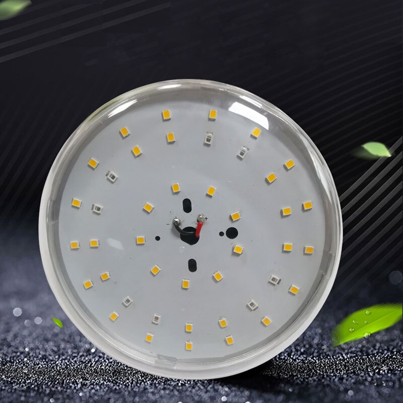 Dragon fruit fill light plant light plant growth light plant fill light