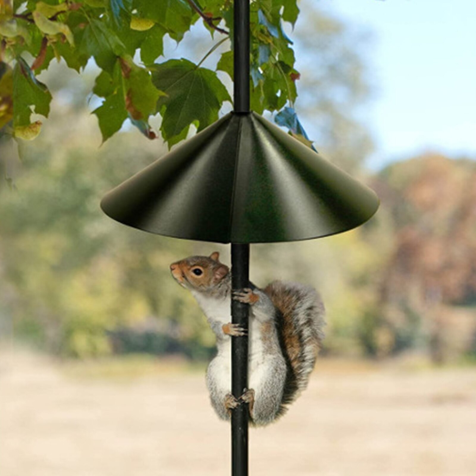Déflecteur d'écureuil enroulé, protection pour les Stations d'alimentation des oiseaux, décoration de jardin de cour extérieure, ornements