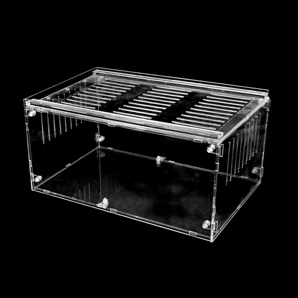 Pet Reptile Breeding Box Through Insect Breeding Box Snake Spider Lizard Scorpion Amphibian Breeding Box Crawling Pet Breeding: 302015cm