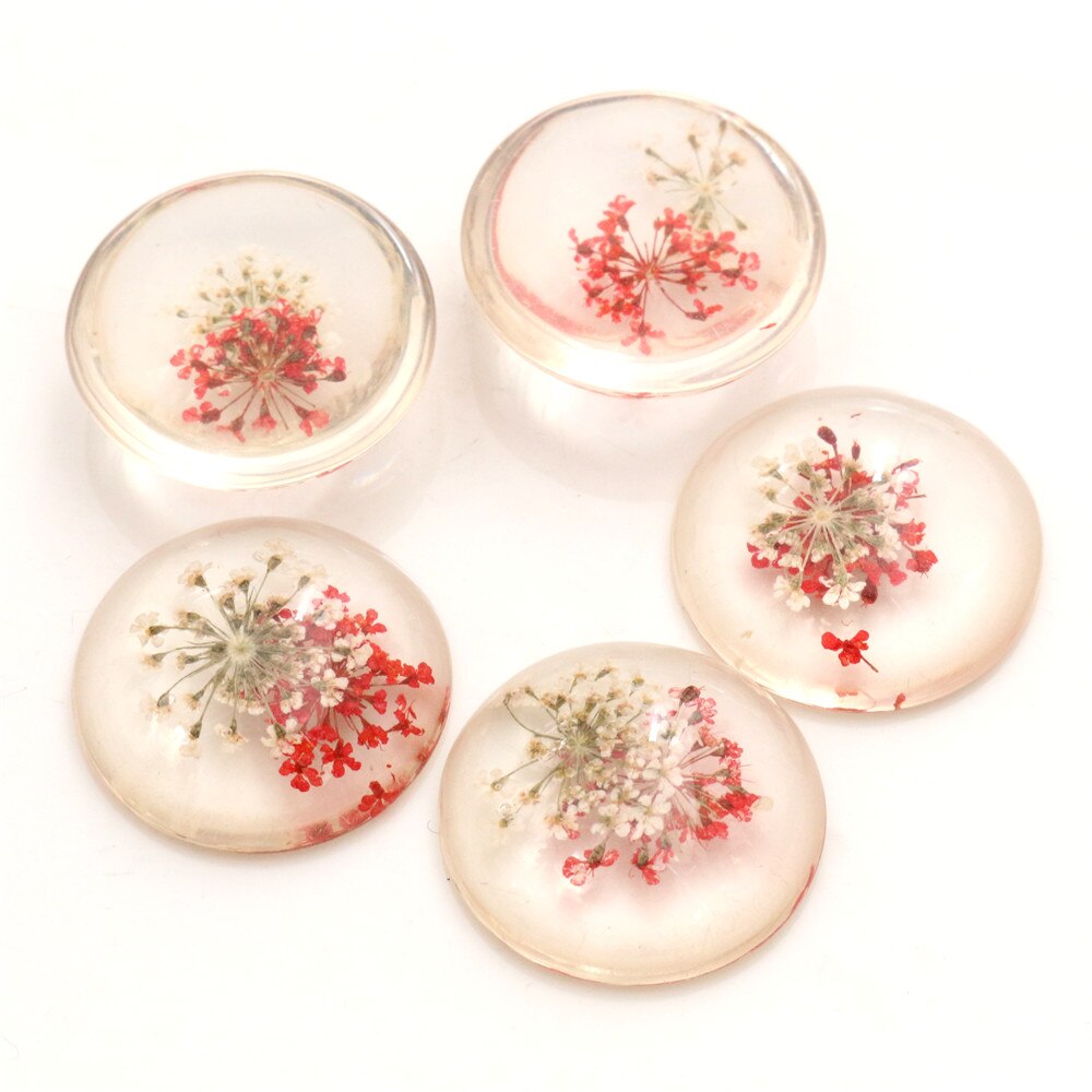 5pcs 25mm Mixed Natural Dried Flowers Flat Back Resin Cabochons Cameo: G3-08